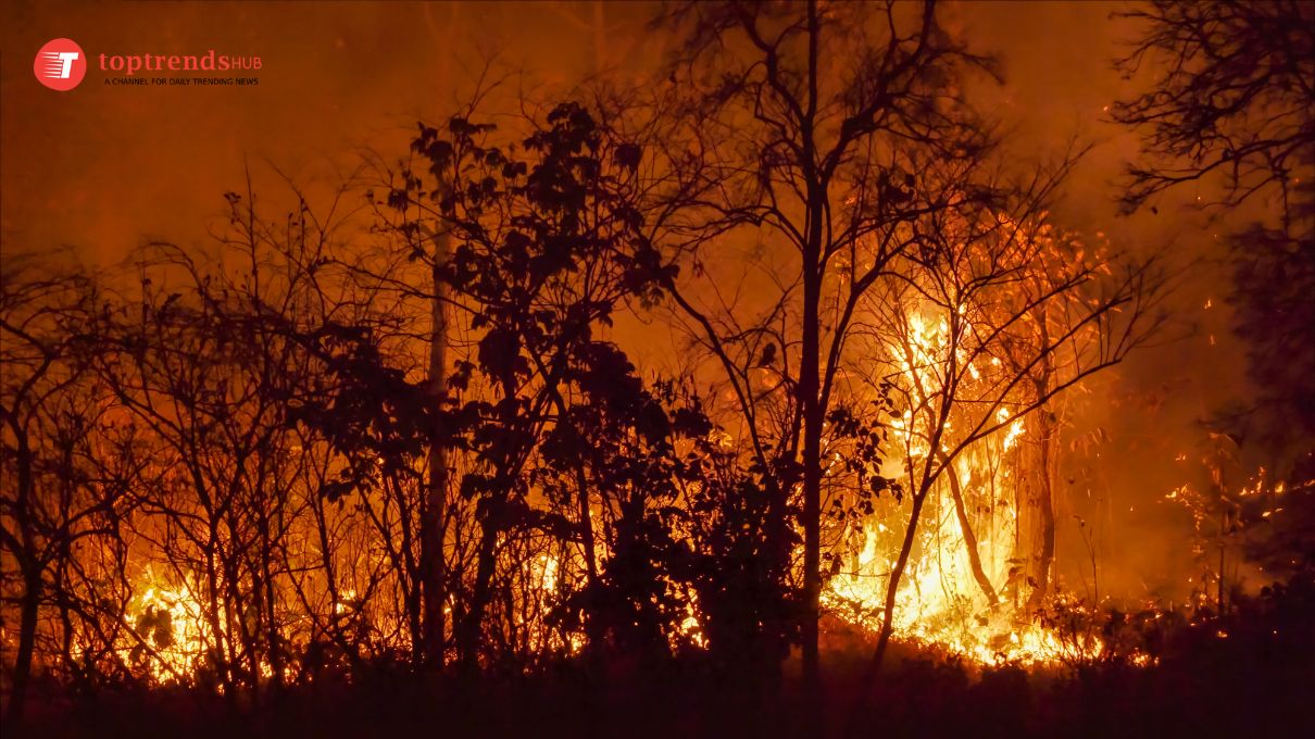 Los Angeles Wildfires Over 100,000 Evacuated, 5 Dead as Fires Ravage Hollywood Hills